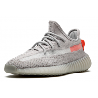 Adidas Yeezy Boost 350 V2 Tail Light Non-Reflective
