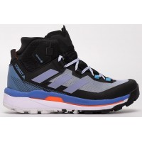 Adidas Terrex Skychaser Tech Mid GTX Blue синие