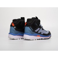 Adidas Terrex Skychaser Tech Mid GTX Blue синие