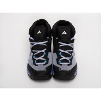 Adidas Terrex Skychaser Tech Mid GTX Blue синие