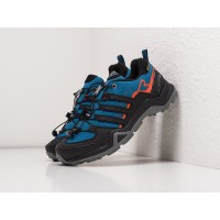 Adidas Terrex Swift R2 GTX Blue синие