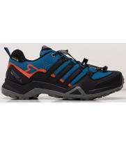 Adidas Terrex Swift R2 GTX Blue синие