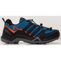 Adidas Terrex Swift R2 GTX Blue синие