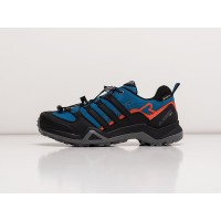 Adidas Terrex Swift R2 GTX Blue синие