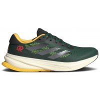 Adidas Supernova Earth Day