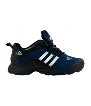 Adidas Terrex Climaproof Winter синие