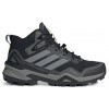 Adidas Terrex Winter (71)