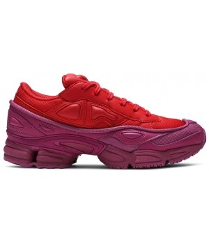 Кроссовки Adidas Raf Simons Ozweego 2 Glory