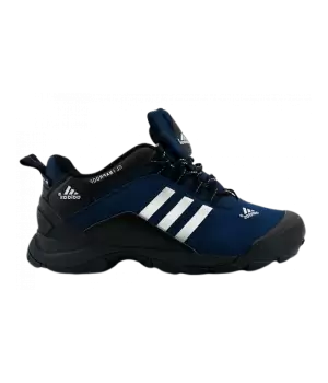 Кроссовки Adidas Terrex Climaproof Winter синие