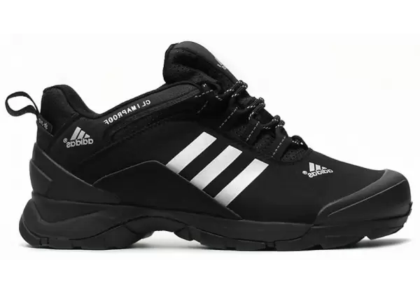 Кроссовки Adidas Terrex Climaproof Black Silver White мужские