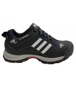 Кроссовки Adidas Terrex Climaproof серо-синие