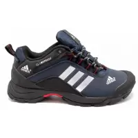 Кроссовки Adidas Terrex Climaproof черно-синие